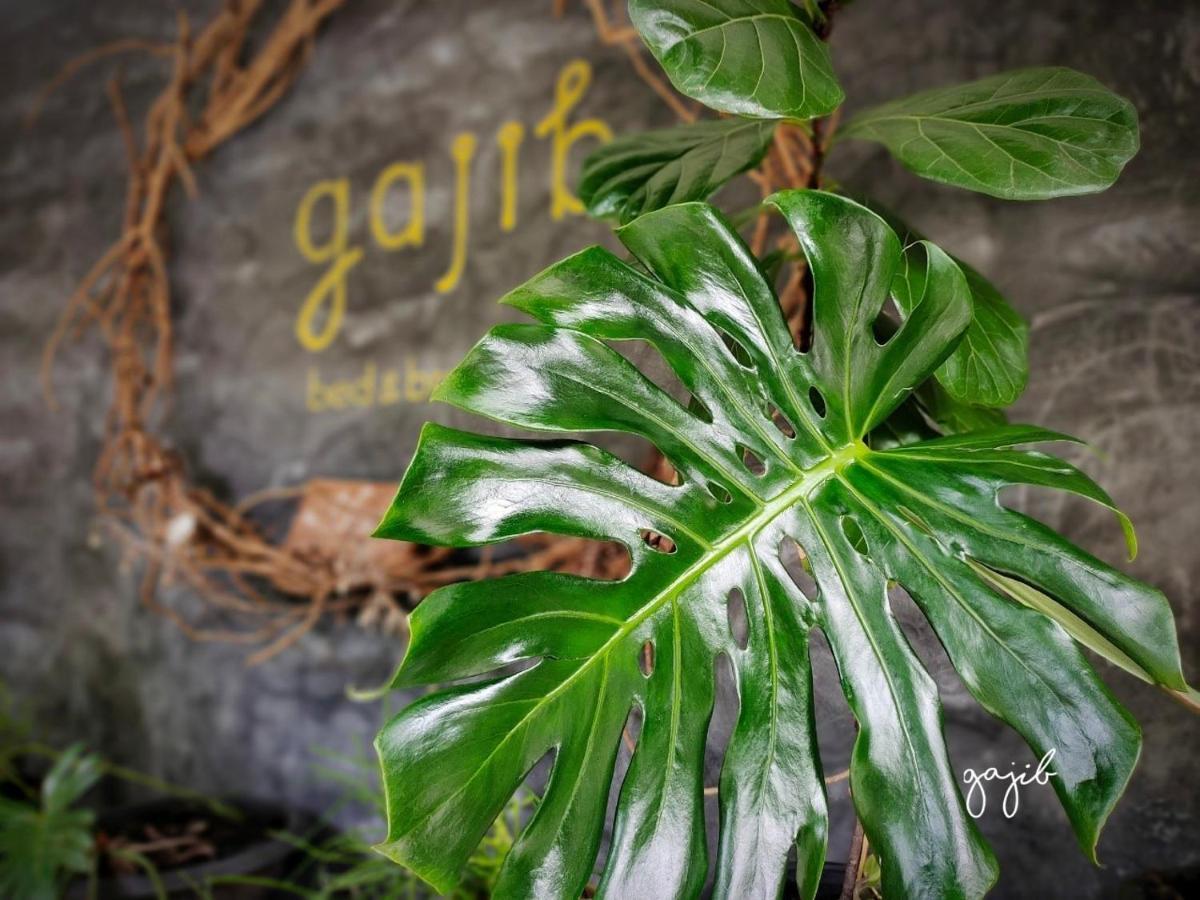 Gajib Bed&Breakfast Amphawa Bagian luar foto